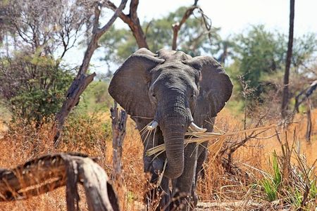 2 Days / 1 Night Join group safari