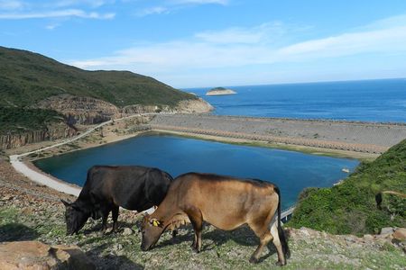 Morning Walking Tour High Island Geopark