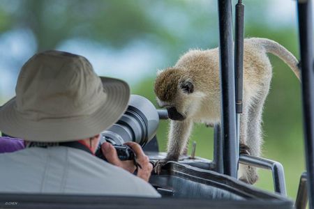 10 Days / 9 Nights Join group safari