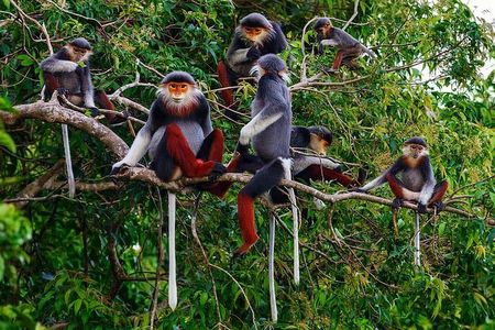 Hue to Dn/Hoi An: Hai Van Pass, beaches & Mt Monkey or vice versa