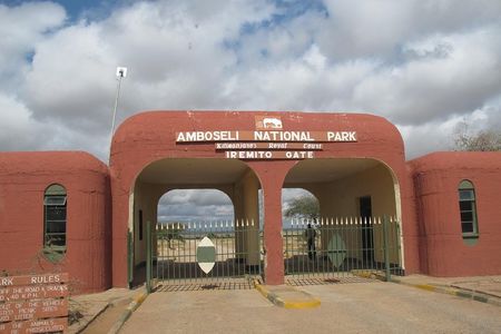 Amboseli national park private Day tour from Nairobi