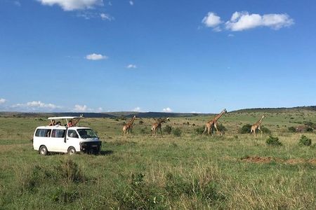 3 days Masai Mara 