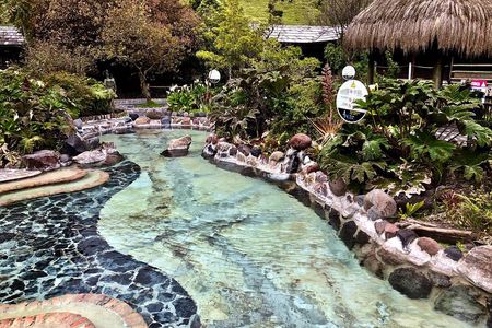 Papallacta Hot Spring, Guango Birdwatching Reserve Private Tour