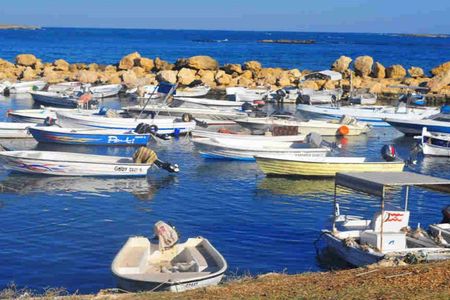 Guided Small-Group Tour to Tripoli and Batroun with Lunch 