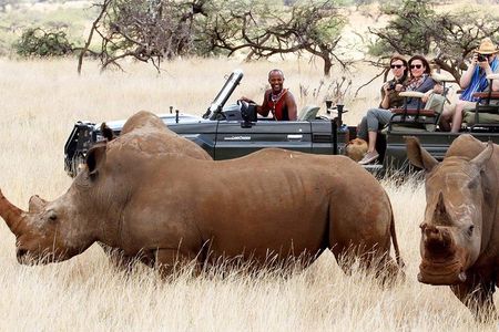 Maasai Mara road Safari 2 Nights 3 Days Group joining