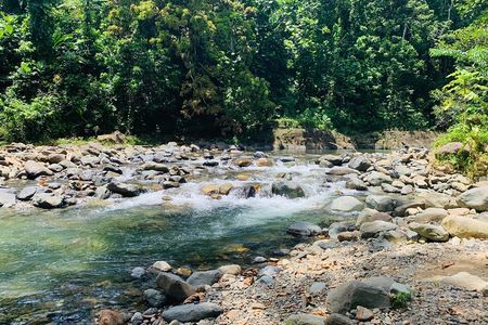 Concrete Jungle to the Actual Jungle, The Complete Package Tour