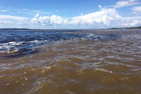 Amazon Private Safari by Tuhiri Eco Tour - Leaving Manaus