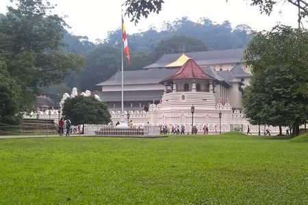 Kandy Day Tour From Colombo