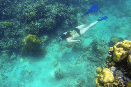 Snorkeling on The Caribbean side of Panama