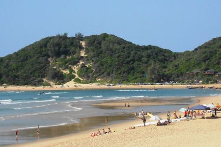 Day Trip to Ponta de Ouro Beach /Dolphin Swim+Snorkel+Whale Watch