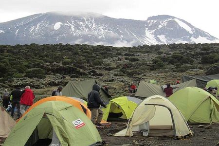 Mount Kilimanjaro climbing,7 days Lemosho Route.