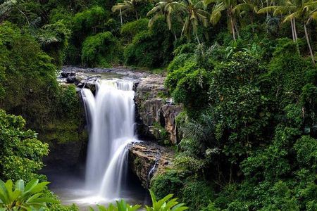 Ubud Waterfall Tour