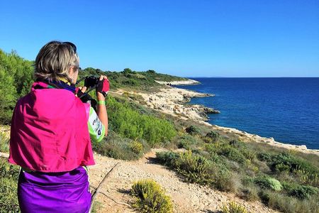 Kamenjak Peninsula Bike Tour and Optional Wine Tasting from Pula