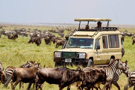 6 Days Budget Tanzania Camping Safari
