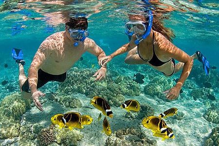 Pink Beach Lombok Snorkeling Tour