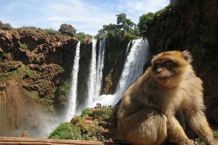 Shared group day trip from Marrakech to Ouzoud waterfalls