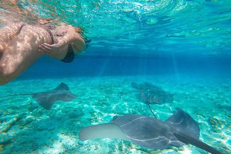 One day Komodo trip with Bintang Komodo Tours