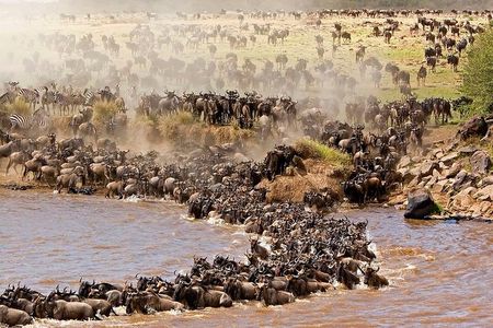 Maasai Mara 3-Day Budget Group Safari from Nairobi
