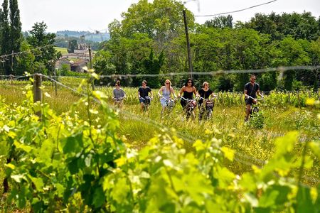 "Explore Saint-Émilion on e-Bikes: Small Group, half-Day Tour"