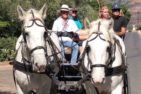 1h30m – Wine Tasting Carriage Trail