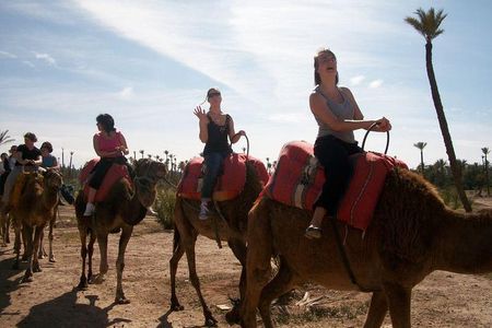Guided Marrakech Camel Riding in Palm Grove + minth tae