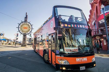 2 Day Hop-On Hop-Off Tour Plus Night Tour