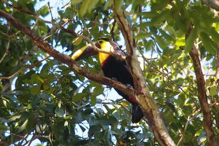 Soberania National Park Hike 