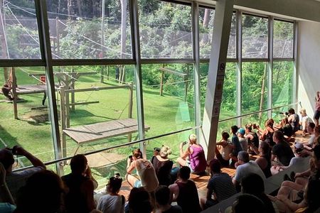 Bornean Sun Bear Conservation Centre & Sepilok Orang Utan Rehab Centre Tour