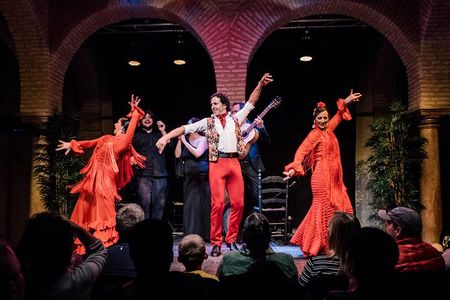 Seville: Puro Flamenco Show - Museo del Baile Flamenco