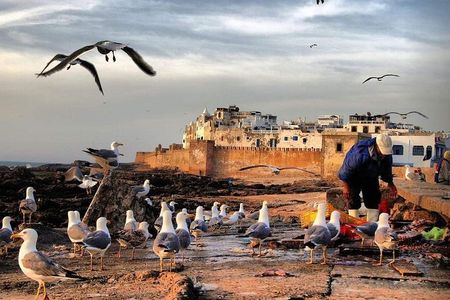 Essaouira fishing Town