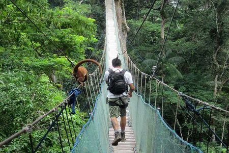 2 days 1 night – Peruvian Tambopata Jungle