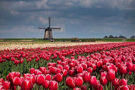 Windmills-Volendam-Giethoorn Private Tour in Jaguar