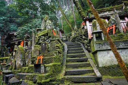 Fushimi Inari Hidden Hiking Tour (Private Option Available)