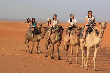 Book 5 days Tour private Van 8 Seats 