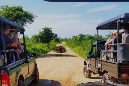 Yala National park with tickets with jeep safari from Hambantota