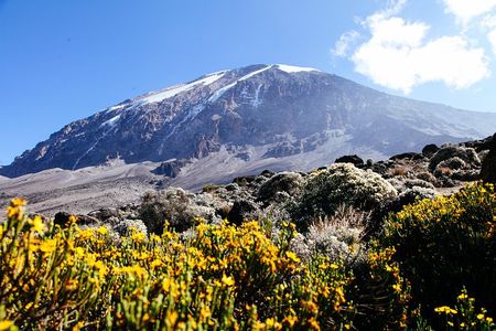 Climb Kilimanjaro - Marangu Route 8 Day Program