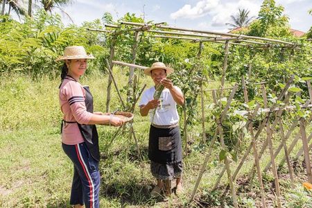 Authentic Farm-to-Table Balinese Cooking Class in Ubud with Kadek