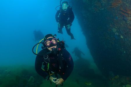Scuba Dive The Beautiful Rottnest Island for Certified divers