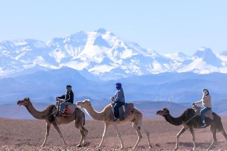 Day Trip:Berber Villages and 4 Valleys Atlas Mountains &Waterfu l& camel Ride