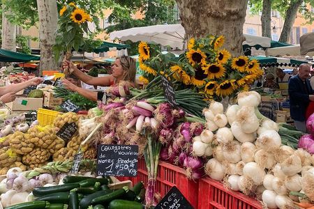 Gourmet & Cultural Tour Aix En Provence English / Espanol