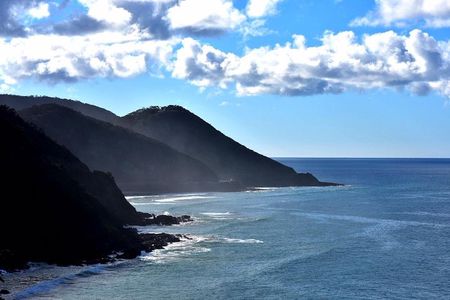 Boutique Great Ocean Road, wildlife and Rainforest Experience