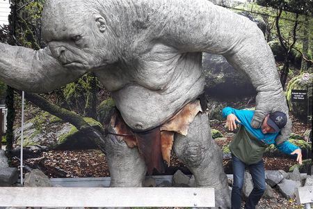 Half Day Tour of Wellington