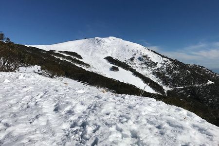 Mount Buller Snow Day Boutique Trip - Max 11 People