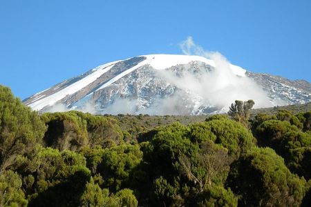 Mountain Kilimanjaro Climbing 8 Days Lemosho Route
