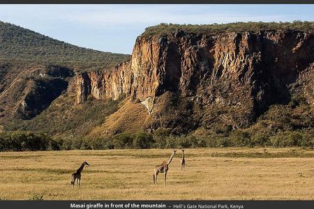 Day Trip - Lake Naivasha & Hells Gate National Park From Nairobi