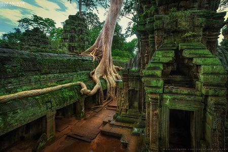 Angkor temples Tour