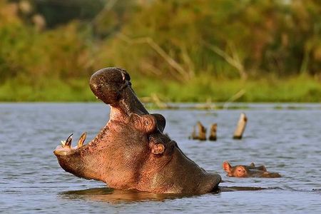 Day Tour to Hell's Gate and Boat Ride at Lake Naivasha