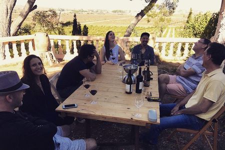 Singular Valencia Wine Tour Utiel Requena Wineries
