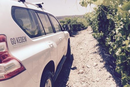 Judean Hills Wine Tasting Tour From Tel Aviv