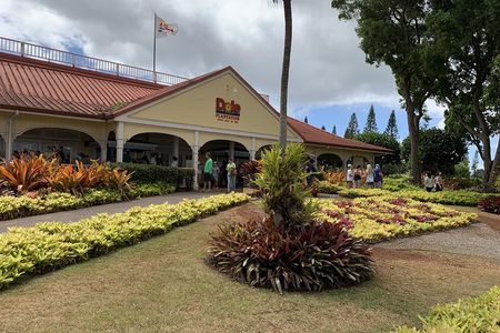 Small Group-Oahu Tour, Dole Plantation, Northshore, Sunset Beach